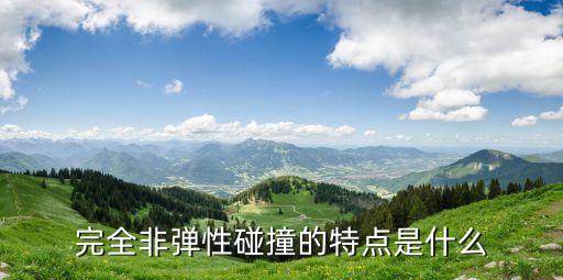 完全非彈性碰撞的特點是什么