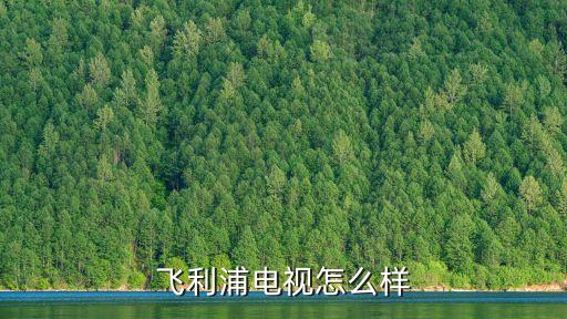 飛利浦電視機，飛利浦電視品牌怎么樣