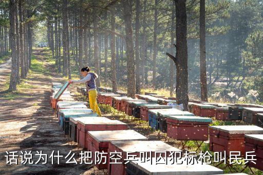 話說(shuō)為什么把防空兵叫囚犯標(biāo)槍叫民兵