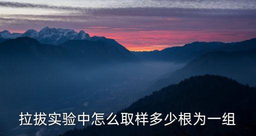 拉拔，拉拔實驗中怎么取樣多少根為一組
