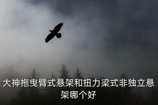 大神拖曳臂式懸架和扭力梁式非獨(dú)立懸架哪個(gè)好