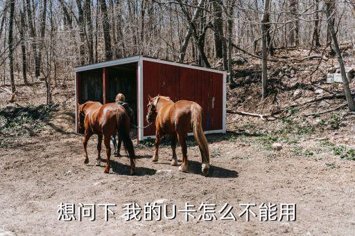 u卡，想問(wèn)下 我的U卡怎么不能用