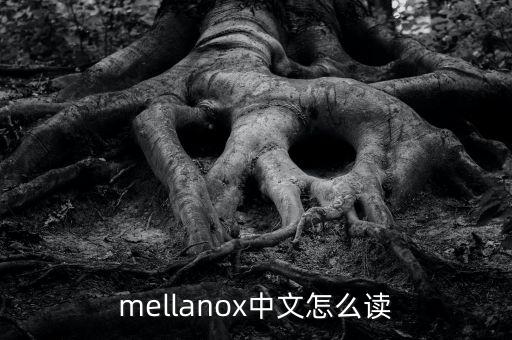 mellanox中文怎么讀
