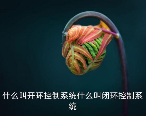 什么叫開環(huán)控制系統(tǒng)什么叫閉環(huán)控制系統(tǒng)