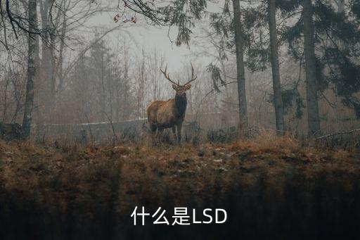 什么是LSD
