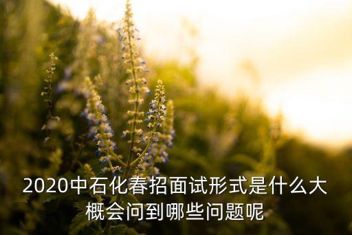 2020中石化春招面試形式是什么大概會(huì)問(wèn)到哪些問(wèn)題呢