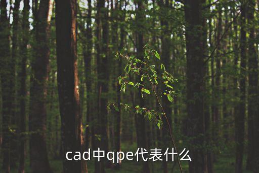 cad中qpe代表什么