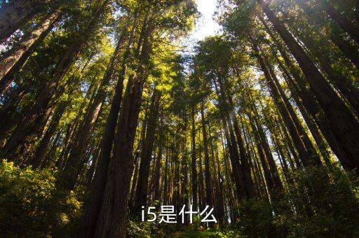 i5是什么