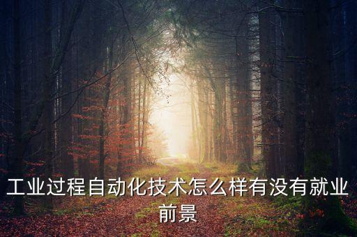 工業(yè)過程自動(dòng)化技術(shù)怎么樣有沒有就業(yè)前景