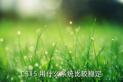 CS15 用什么系統(tǒng)比較穩(wěn)定