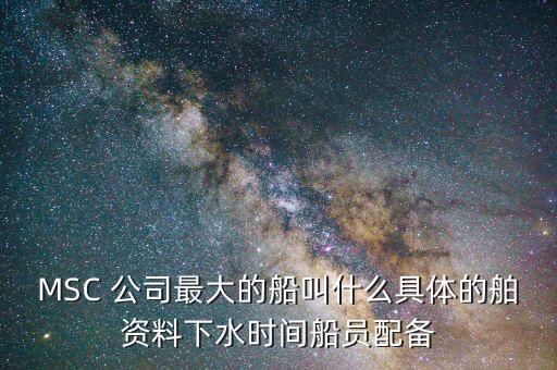 MSC 公司最大的船叫什么具體的舶資料下水時(shí)間船員配備