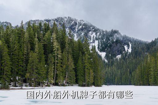 河南自動化無人船公司有哪些,中國無人機(jī)上市公司有哪些?