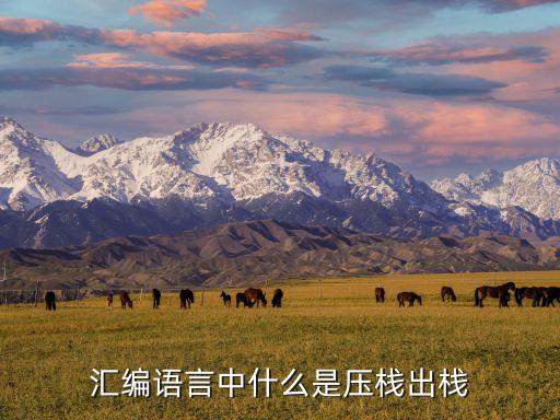 匯編語言中什么是壓棧出棧