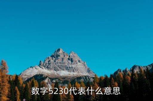 數(shù)字5230代表什么意思