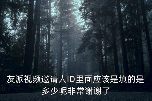 友派，友派U3多少錢