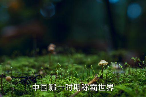 稱霸全球，中國(guó)哪一時(shí)期稱霸世界