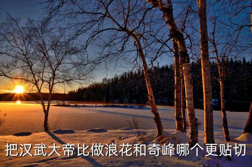 把漢武大帝比做浪花和奇峰哪個(gè)更貼切