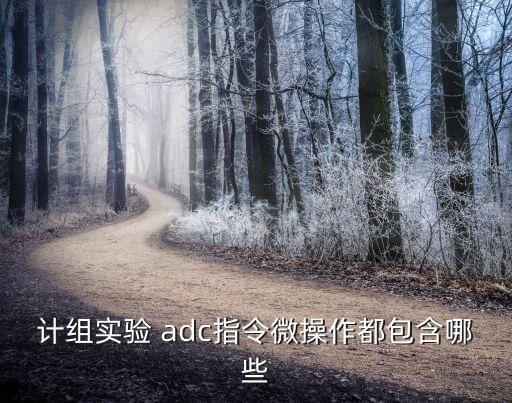 計組實驗 adc指令微操作都包含哪些
