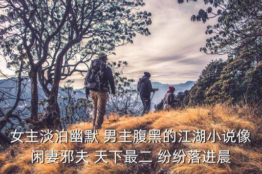女主淡泊幽默 男主腹黑的江湖小說像閑妻邪夫 天下最二 紛紛落進晨