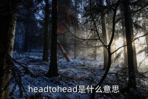 hedt，headtohead是什么意思