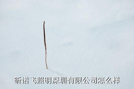 昕諾飛，洛之開頭的組合名有哪些