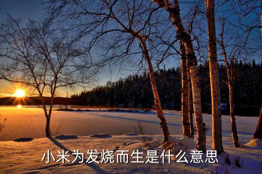 小米為發(fā)燒而生是什么意思