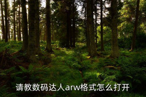 請(qǐng)教數(shù)碼達(dá)人arw格式怎么打開