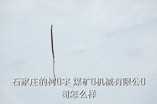 石家莊的柯?宇 煤礦?機(jī)械有限公?司怎么樣