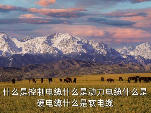 什么是控制電纜什么是動(dòng)力電纜什么是硬電纜什么是軟電纜