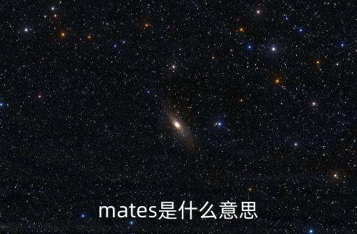 mates，mates是什么意思