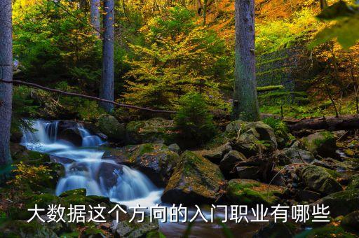 大數(shù)據(jù)這個方向的入門職業(yè)有哪些