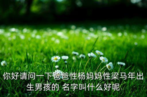 你好請(qǐng)問(wèn)一下爸爸性楊媽媽性梁馬年出生男孩的 名字叫什么好呢
