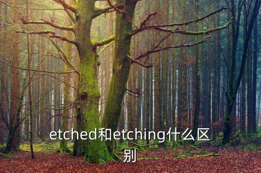 etching，畫(huà)掛在墻上的畫(huà) 英語(yǔ)