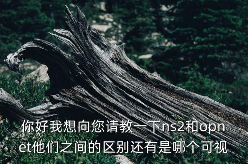 你好我想向您請教一下ns2和opnet他們之間的區(qū)別還有是哪個可視