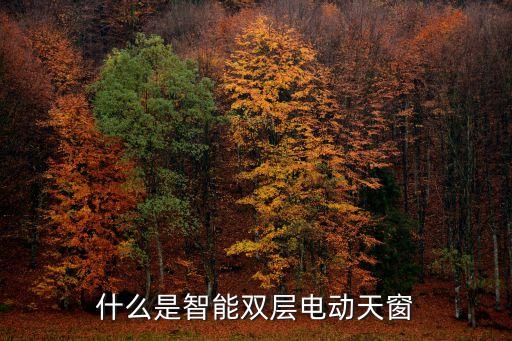 什么是智能雙層電動天窗