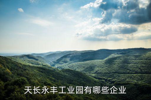 永康自動化打磨公司,永豐工業(yè)園有哪些企業(yè)?