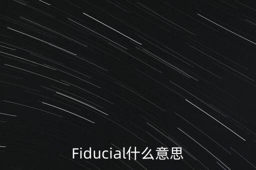 fiducial，F(xiàn)iducial什么意思