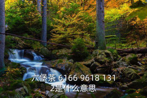 六堡茶 6166 9618 1312是什么意思