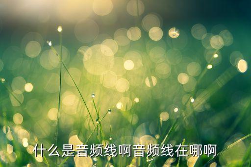 音頻線，什么是音頻線啊音頻線在哪啊