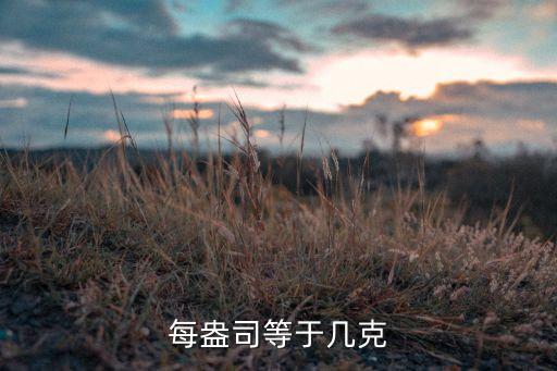 每盎司，每盎司119290美元什么意思