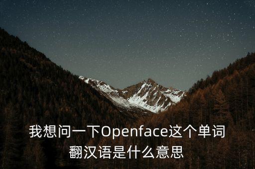 我想問(wèn)一下Openface這個(gè)單詞翻漢語(yǔ)是什么意思