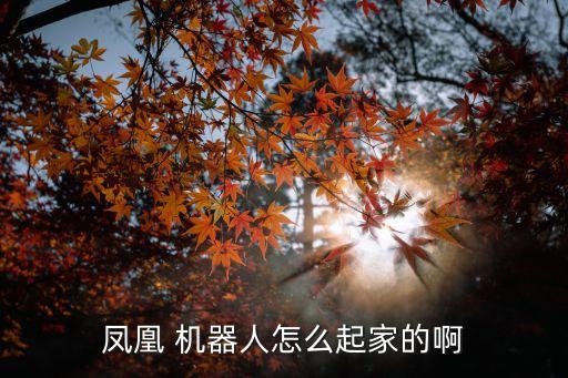 鳳凰 機器人怎么起家的啊