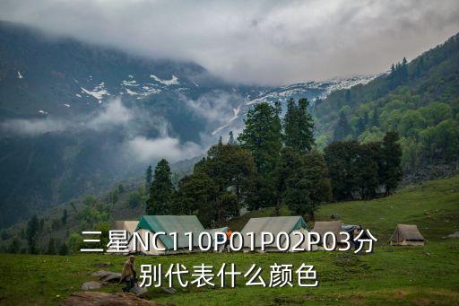 三星NC110P01P02P03分別代表什么顏色