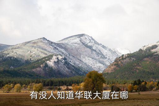 華聯(lián)大廈，有沒人知道華聯(lián)大廈在哪