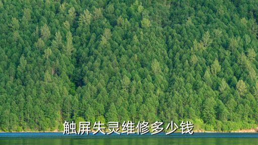 觸屏失靈維修多少錢(qián)