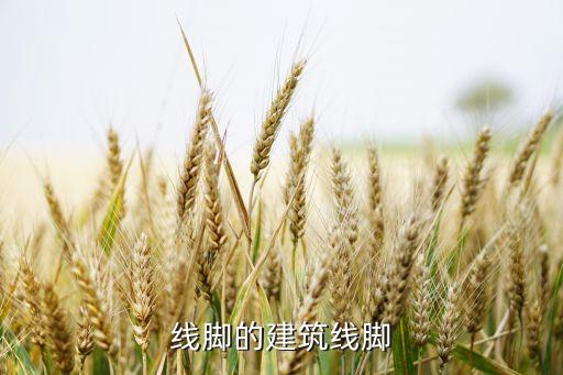 線腳的建筑線腳