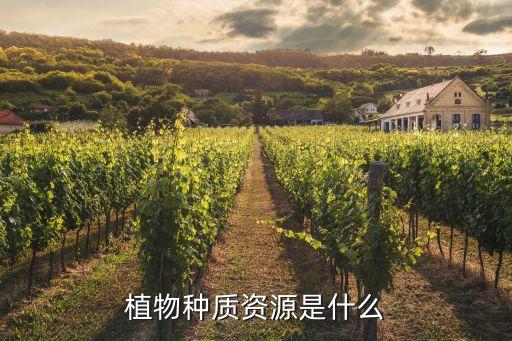種質(zhì)資源，種質(zhì)資源按來源可分為哪幾類