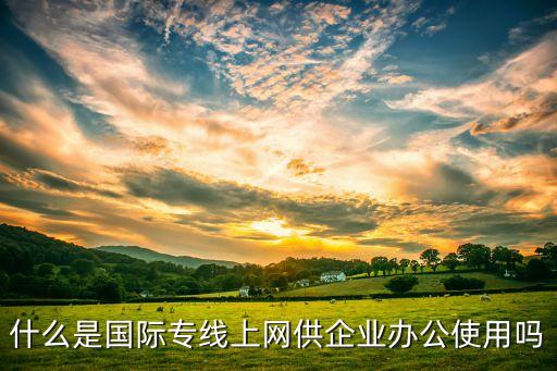 海外網(wǎng)絡專線，什么是國際專線上網(wǎng)供企業(yè)辦公使用嗎