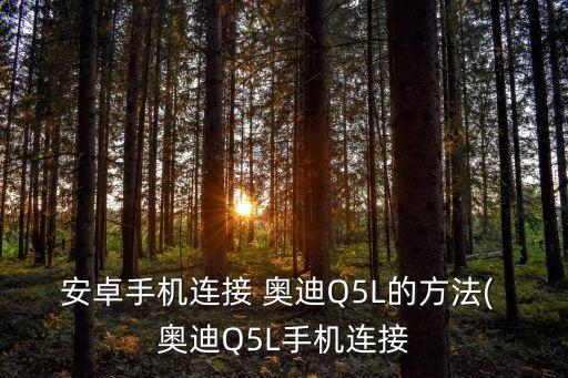 安卓手機連接 奧迪Q5L的方法( 奧迪Q5L手機連接