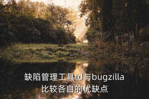 缺陷管理工具td與bugzilla比較各自的優(yōu)缺點(diǎn)